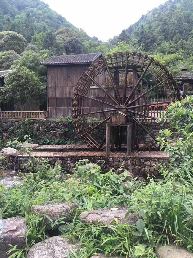 作品收藏16