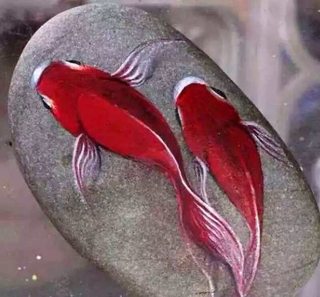 艺术62